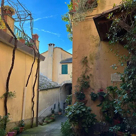 Gassa D'amante