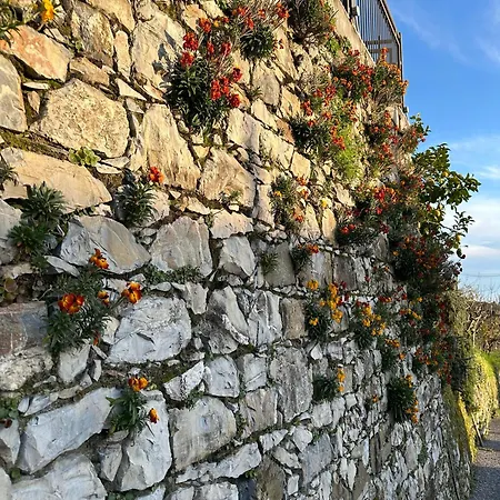 Gassa D'amante דירה