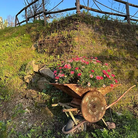 דירה Gassa D'amante