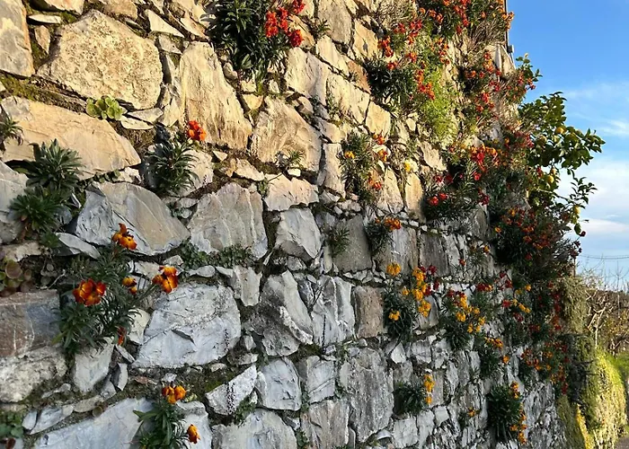 Gassa D'amante Appartement