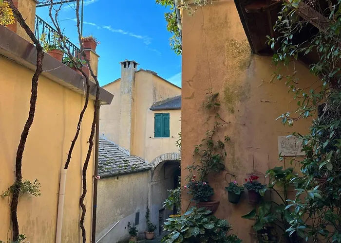 Gassa D'amante