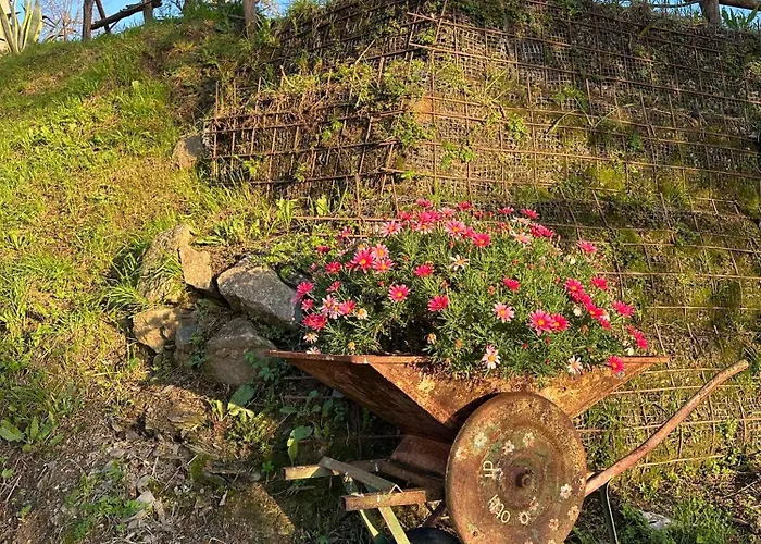 Apartment Gassa D'amante